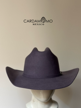 Cargar imagen en el visor de la galería, TEXANA COYOTE