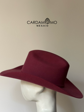 Cargar imagen en el visor de la galería, TEXANA COYOTE