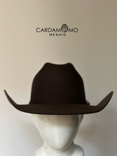 Cargar imagen en el visor de la galería, TEXANA COYOTE