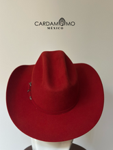 Cargar imagen en el visor de la galería, TEXANA COYOTE