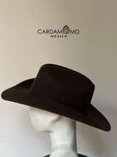 Cargar imagen en el visor de la galería, TEXANA COYOTE