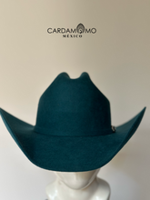 Cargar imagen en el visor de la galería, TEXANA COYOTE