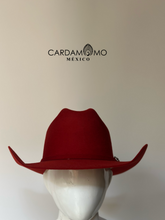 Cargar imagen en el visor de la galería, TEXANA COYOTE
