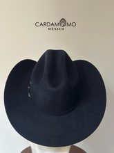 Cargar imagen en el visor de la galería, TEXANA COYOTE
