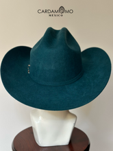 Cargar imagen en el visor de la galería, TEXANA COYOTE
