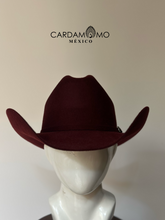Cargar imagen en el visor de la galería, TEXANA COYOTE
