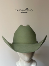 Cargar imagen en el visor de la galería, TEXANA COYOTE
