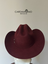 Cargar imagen en el visor de la galería, TEXANA COYOTE
