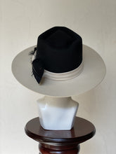 Cargar imagen en el visor de la galería, ROGELIO
